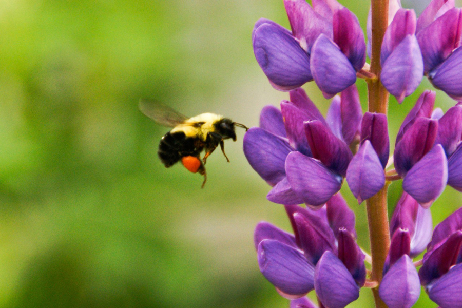 Marketing Buzzwords of 2015 that drove us crazy (or gave us a good chuckle) and why they're silly or downright problematic. | By Bitcookie.com